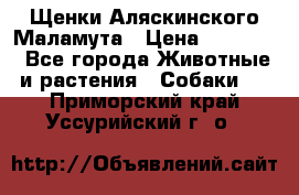 Щенки Аляскинского Маламута › Цена ­ 10 000 - Все города Животные и растения » Собаки   . Приморский край,Уссурийский г. о. 